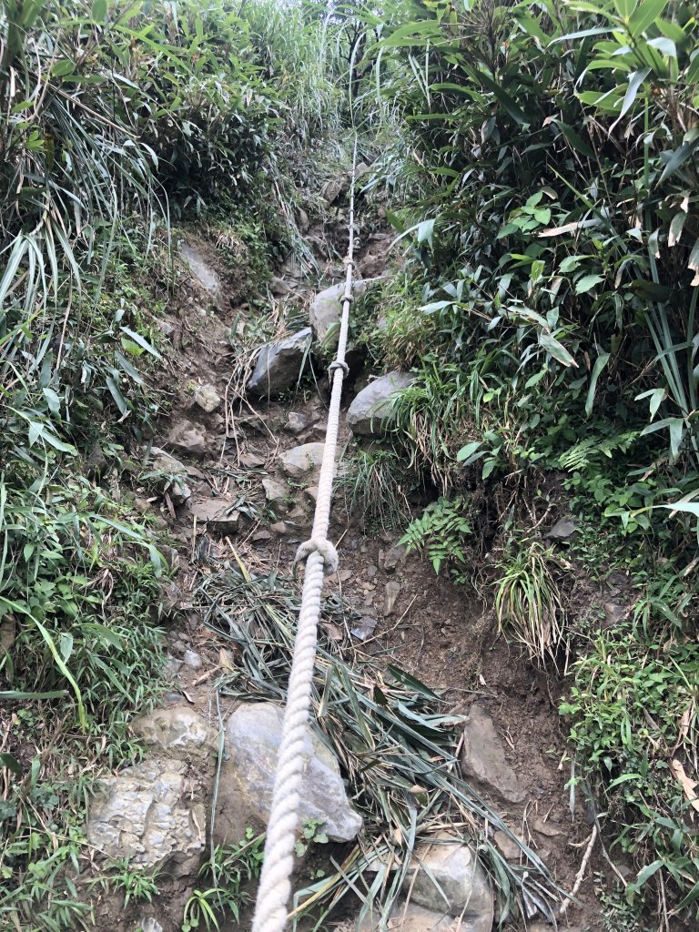 【宜蘭礁溪】抹茶山~超消暑聖母登山步道_640596