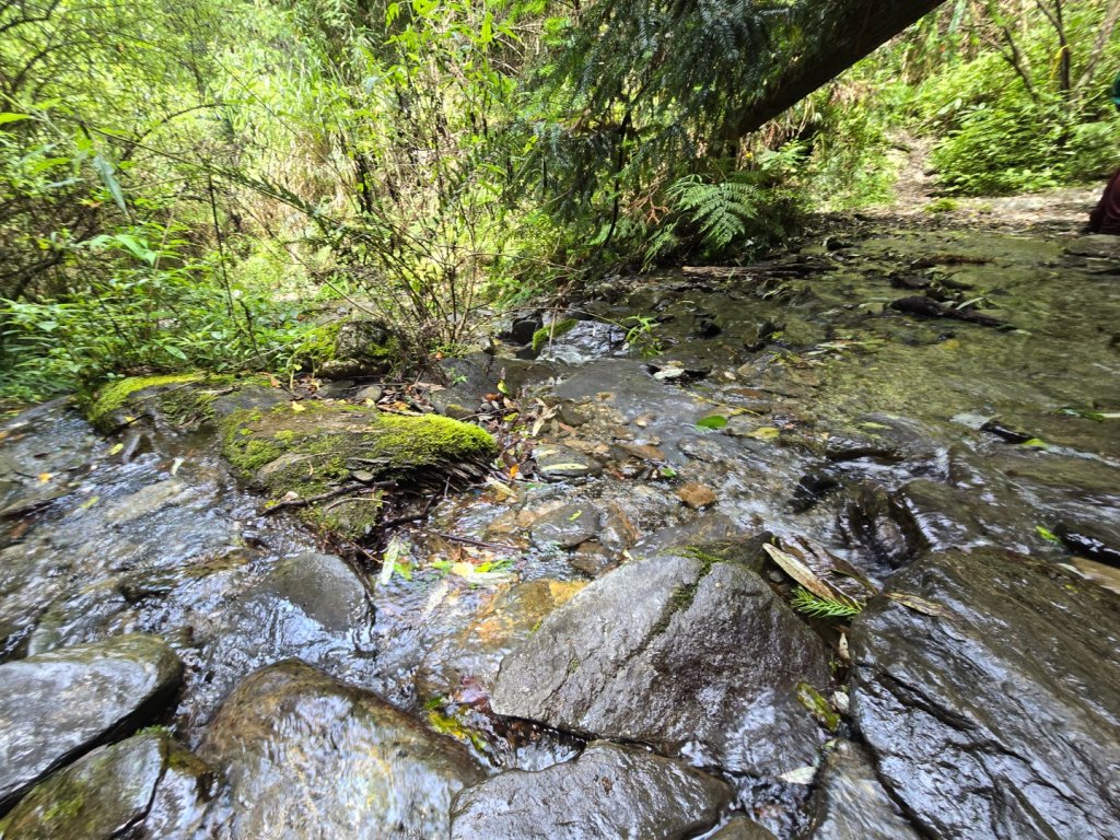 志佳陽大山（回程走高繞環山獵人登山步道）_2542129