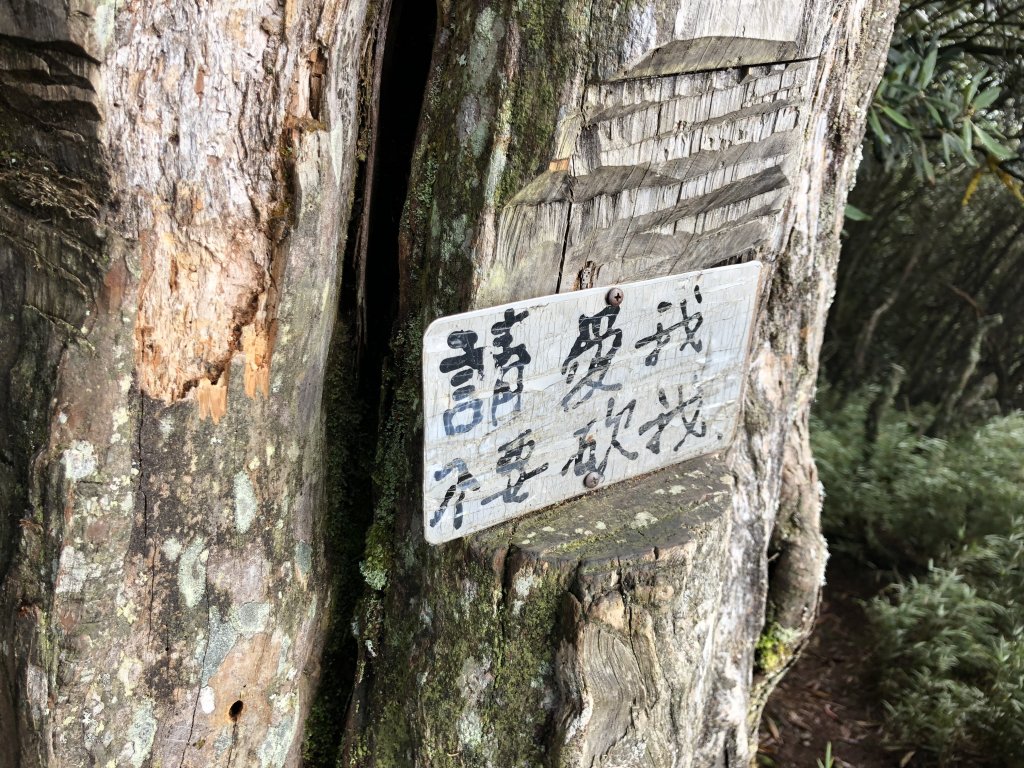 一魚多吃的高島縱走  帶孩子享受攀爬的_452375