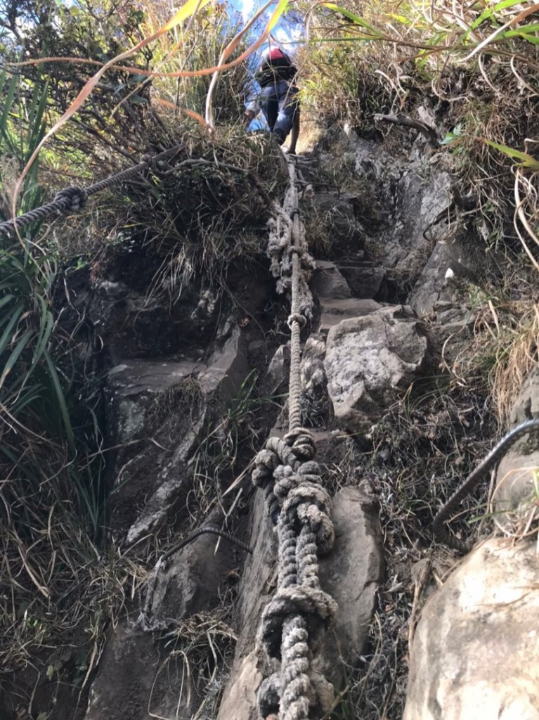 哈加O型走收穫滿滿🈵️_1924192