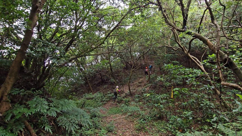 瑞芳四秀加碼大武崙澳底沙灘_2238802