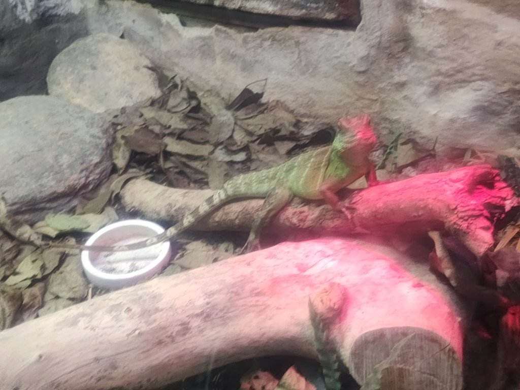 台北動物園_2663977