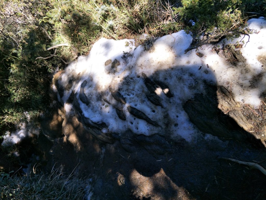 百岳：合歡北峰-雪季後_1243494