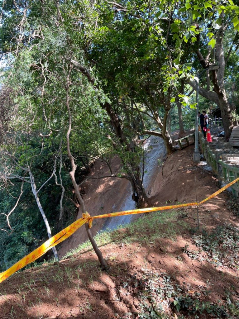 貴子坑親山步道&忠義山親山步道_1487094