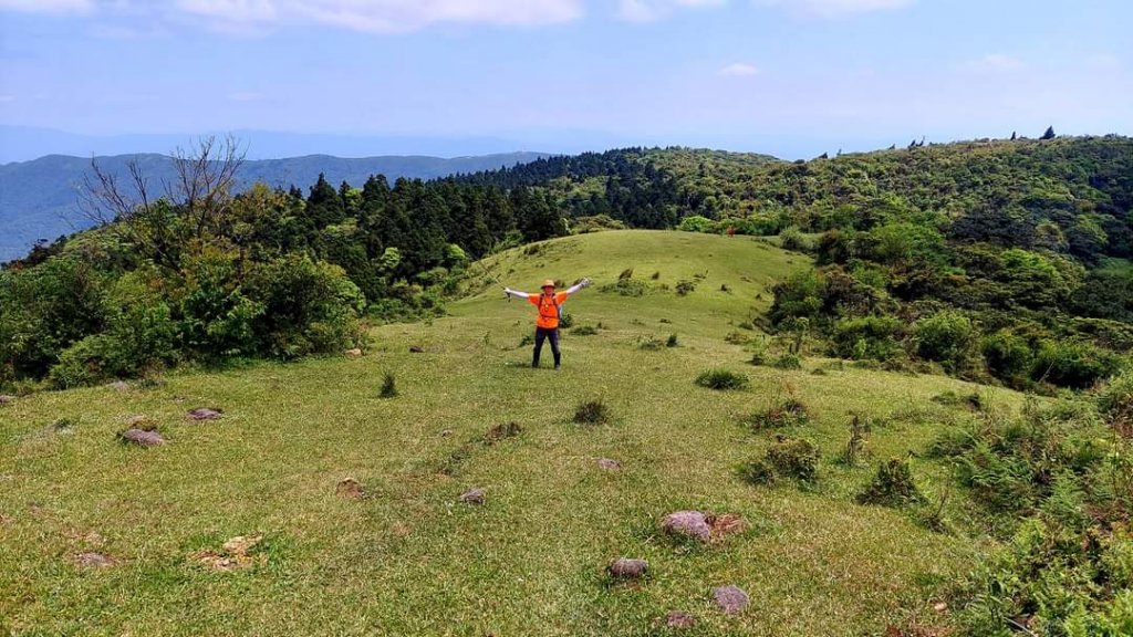 幽林雅徑夢幻古道，綠茵草原牧牛桃花源_1992781
