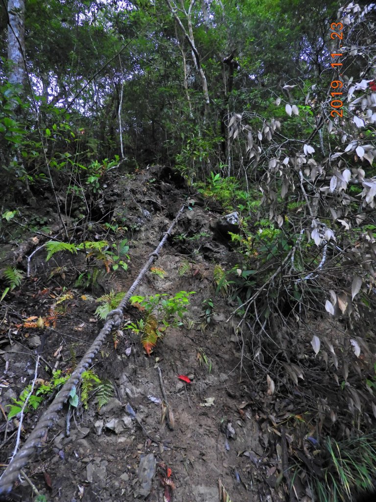桃園 復興 待矢負山_746148