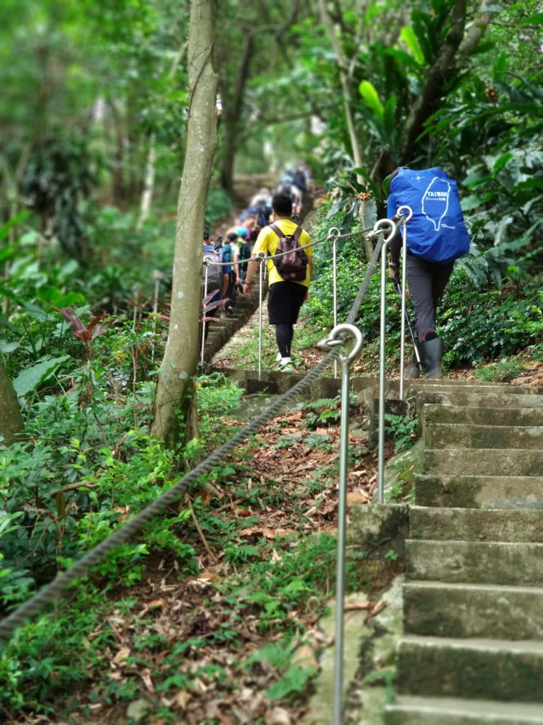 大棟山之旅_391905
