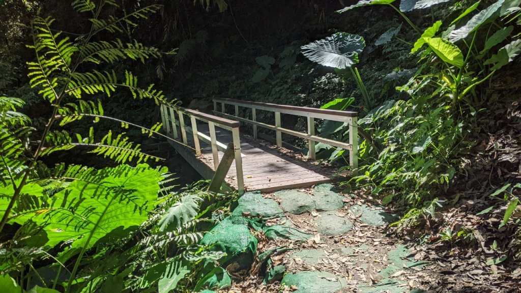 蝴蝶谷瀑布步道｜唐麻丹山登山步道 (松鶴部落上)_1900064