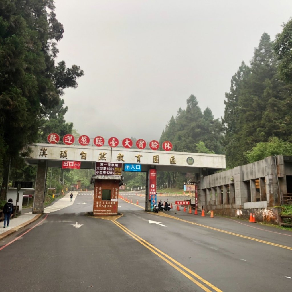 27.溪頭20多年了，好久不見，您依然「靜、美」_1352676