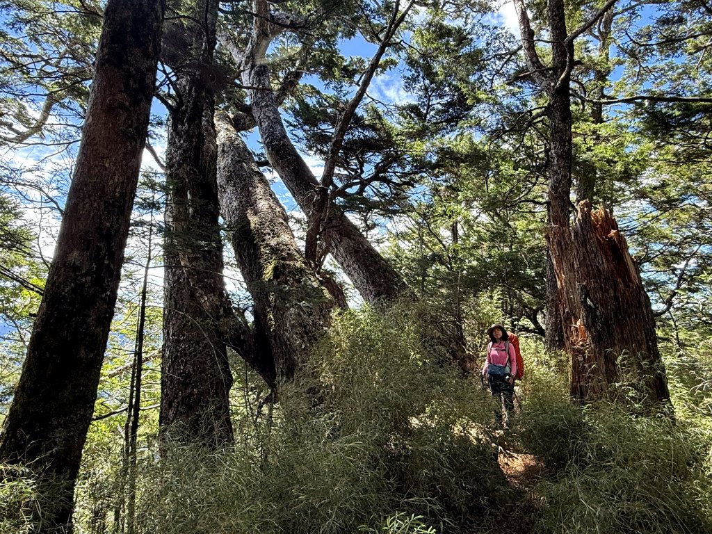 觀雲山莊經小完美谷上畢祿山O繞_2917203