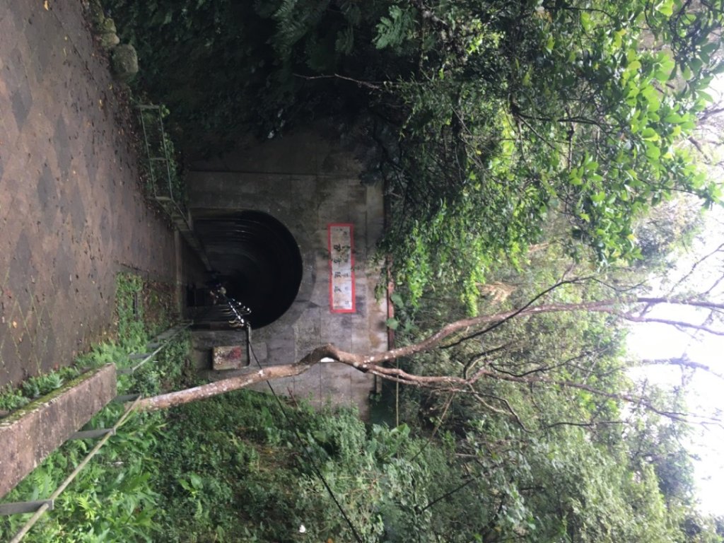 頭寮山o(慈湖、秘密花園咖啡☕️_2649104