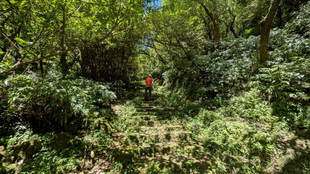 114.06.28內平林山-番子坑山-平湖森林遊樂區之O型_2824207
