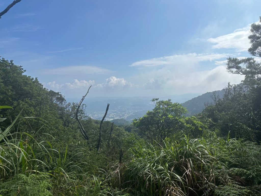 小百岳-012新北汐止-汐止大尖山_2600237