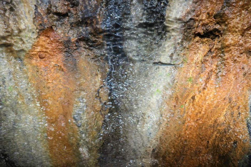 〔雙溪〕三貂嶺生態友善隧道 蝙蝠＆鐘乳石 。尪子崙坑 礦務課NO.278基石_2247626