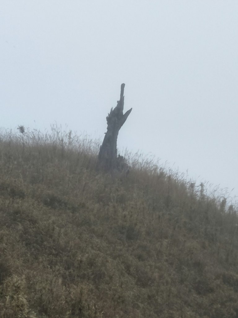 志佳陽雪山之毅_465902