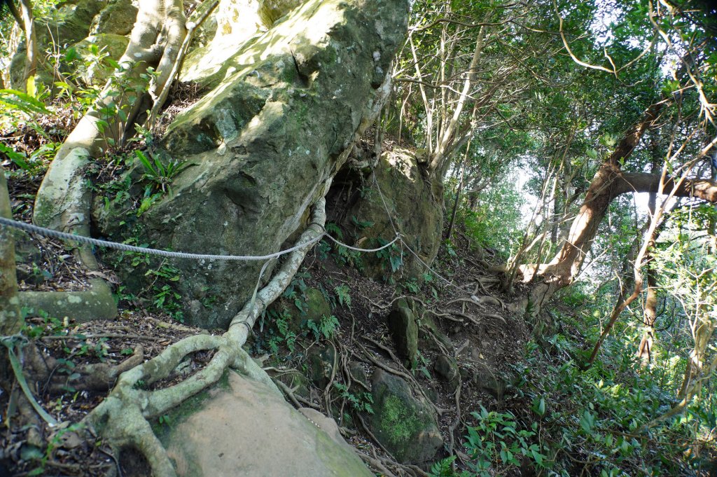 新竹 關西 蓬萊仙島山、石牛山、油井窩山、福大山_2982390