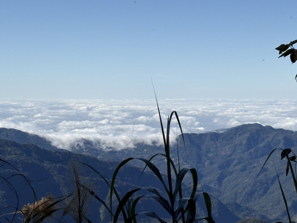 20251221嘉南雲峰、石壁山登山步道_2968147