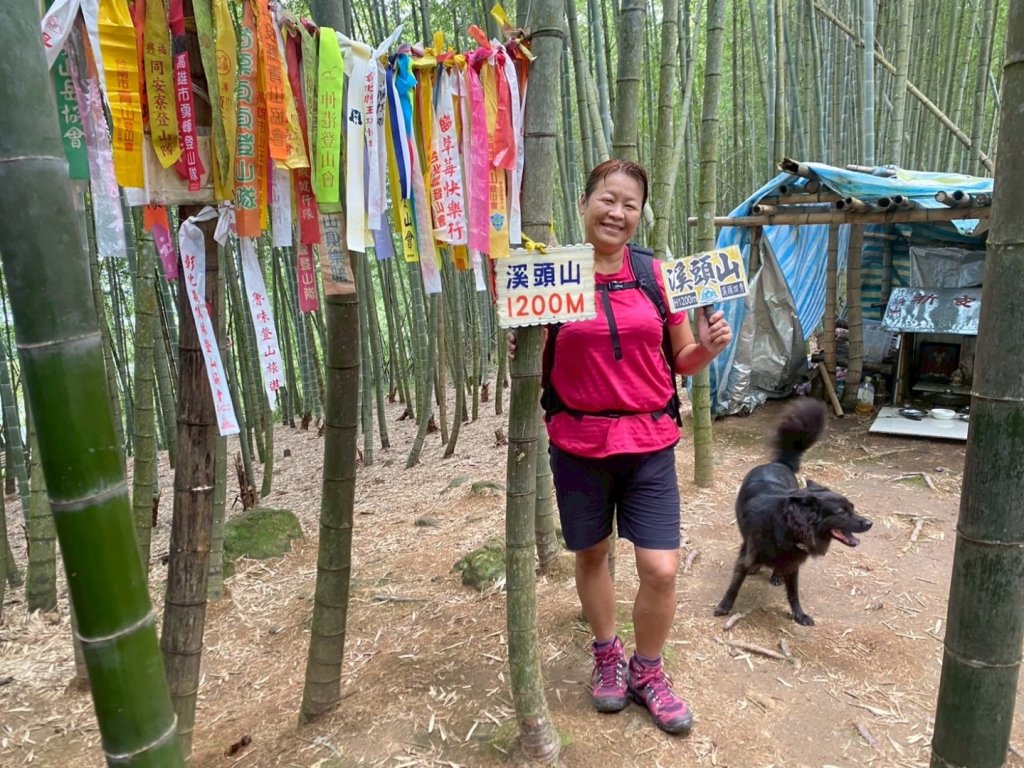 溪頭山、竹崙山、志騰山、妖怪村_2877921