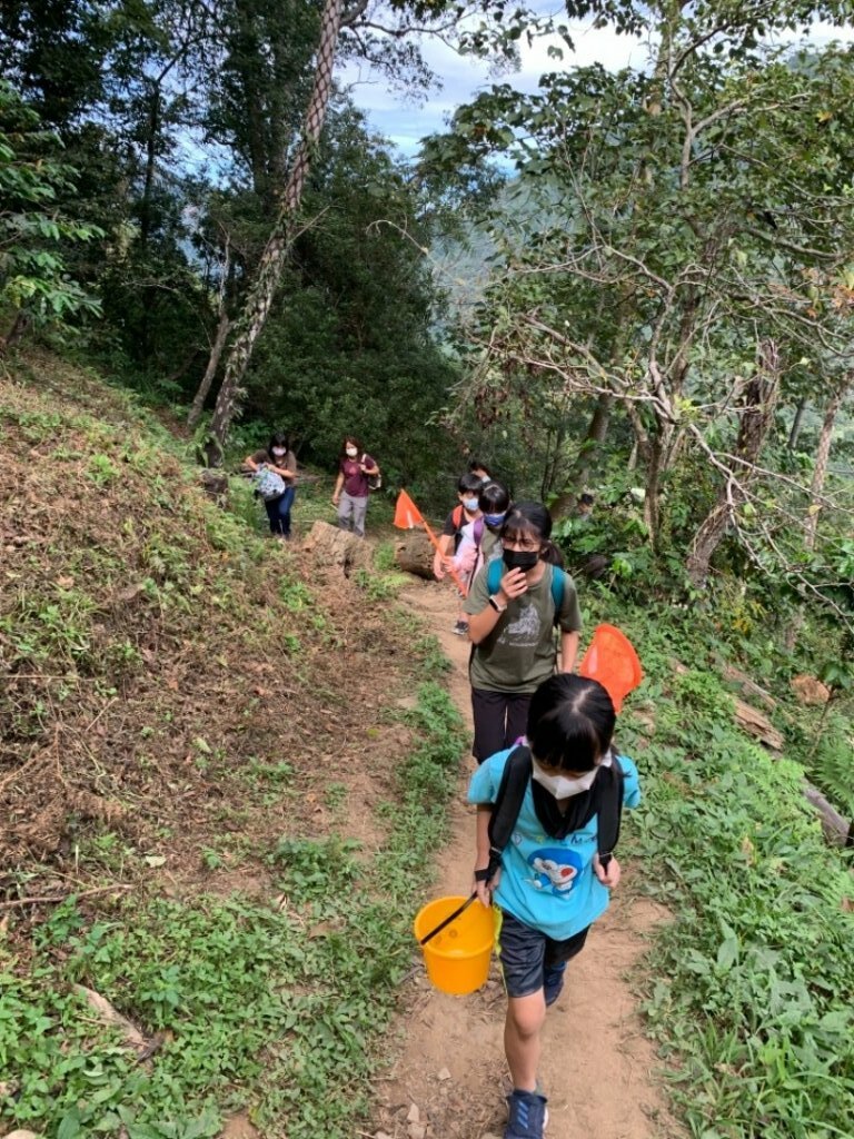 蝴蝶谷瀑布（谷關七雄）_1546080