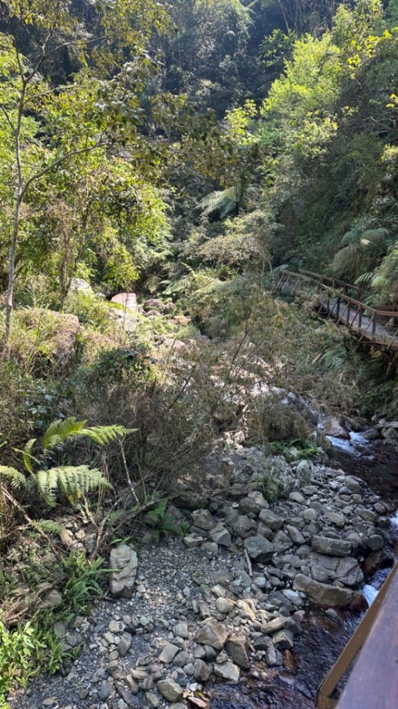 裡冷上唐麻丹O繞+蝴蝶谷_2742930
