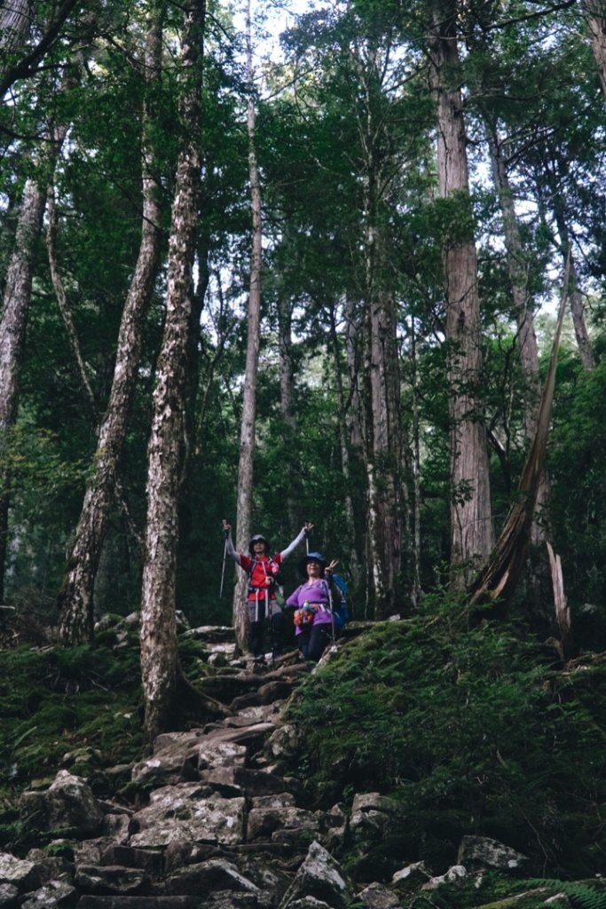 艷陽大霸群峰_654589