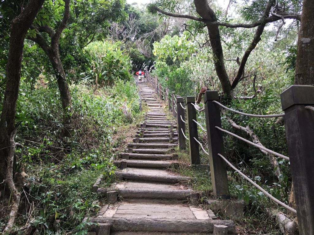 蜿蜒上下-聚興山_222933