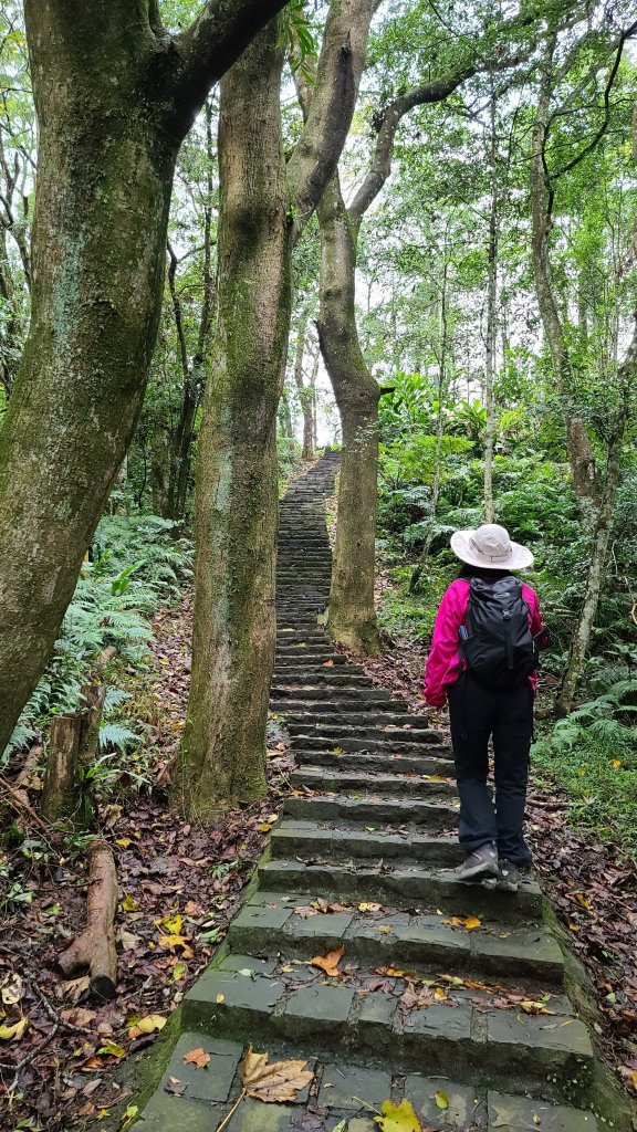 2020-1221 大崎崠登山步道_1214925