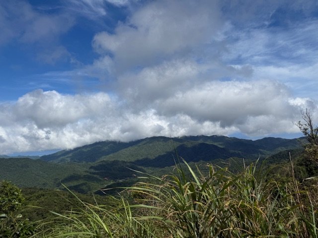 2025-08-30 豎旗山西北稜上-豎旗山-烏山古道西段下_2874135