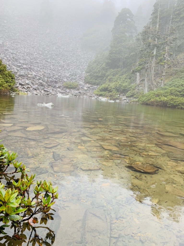 109.5/29-5/31雪山主東下翠池_1218673