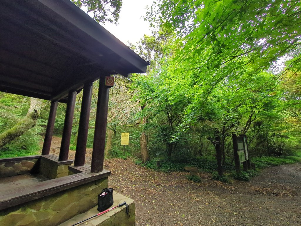 第二段：二子坪→小油坑封面圖