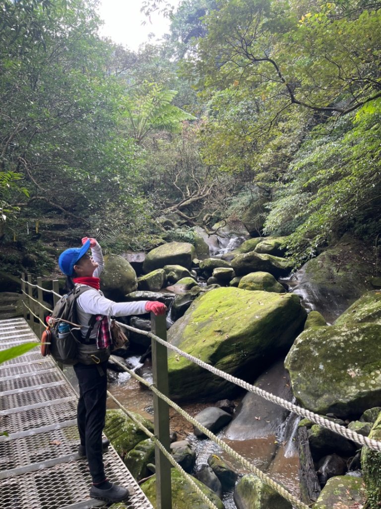 東勢大崙、東勢坑山、觀音湖山O走_2986377