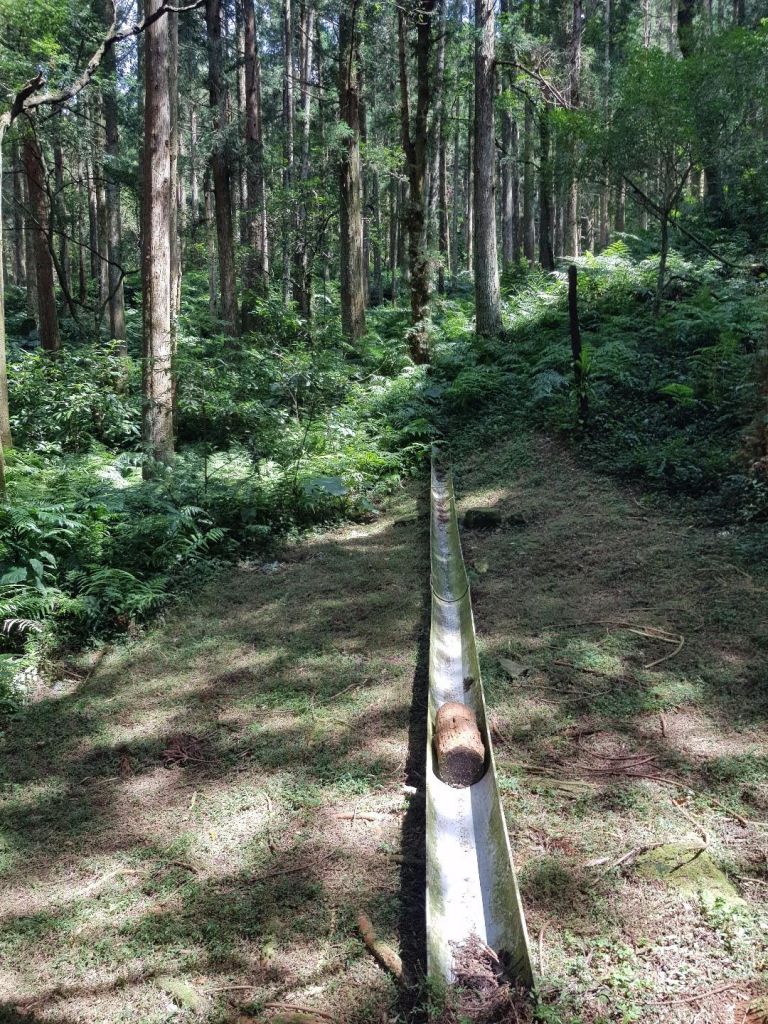 東眼山森林遊樂區_178128