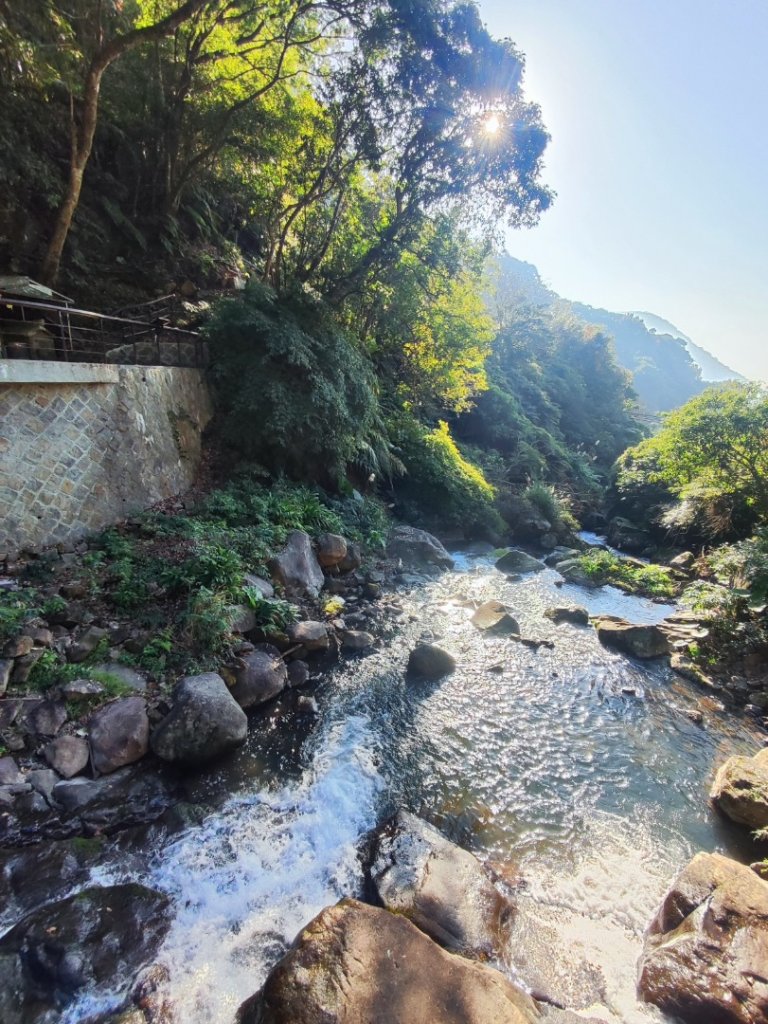 草山觀瀑吊橋-百年楓香巨木-草山水管支線-大屯瀑布-小隱潭瀑布_2982750
