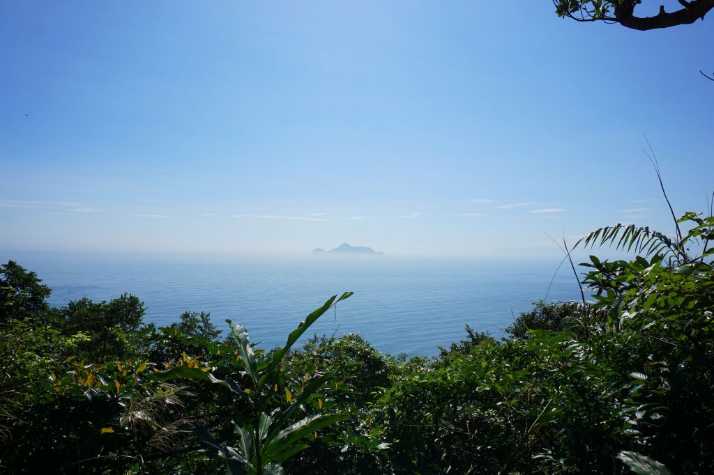 106.11.17草嶺古道、灣坑頭山_206602