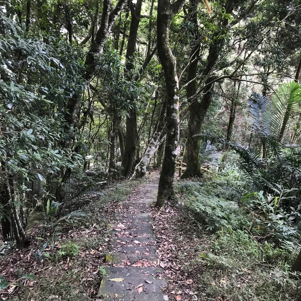 小百岳 仙山 2023.01.13_1992442