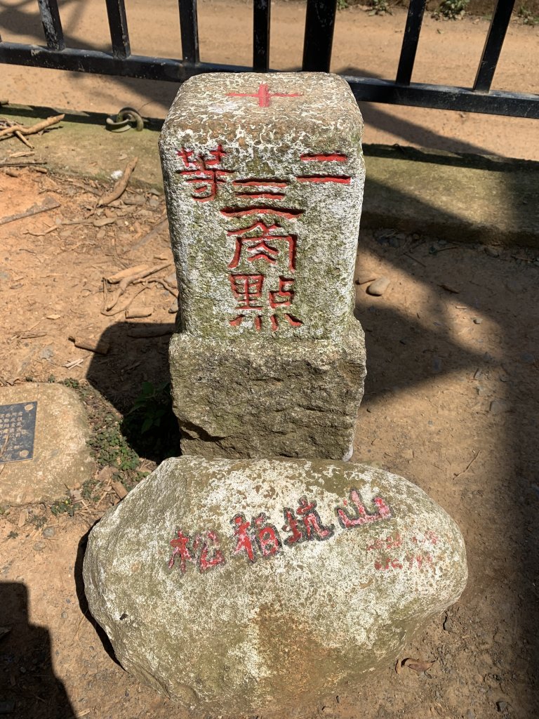 20250322南投松柏坑山-大棚山_2745823