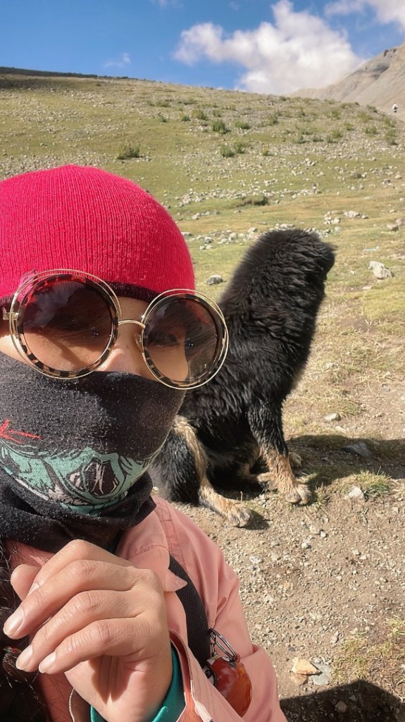 西藏♥️可愛動物🐎人物寫真/拉薩旅拍/美食_2902894