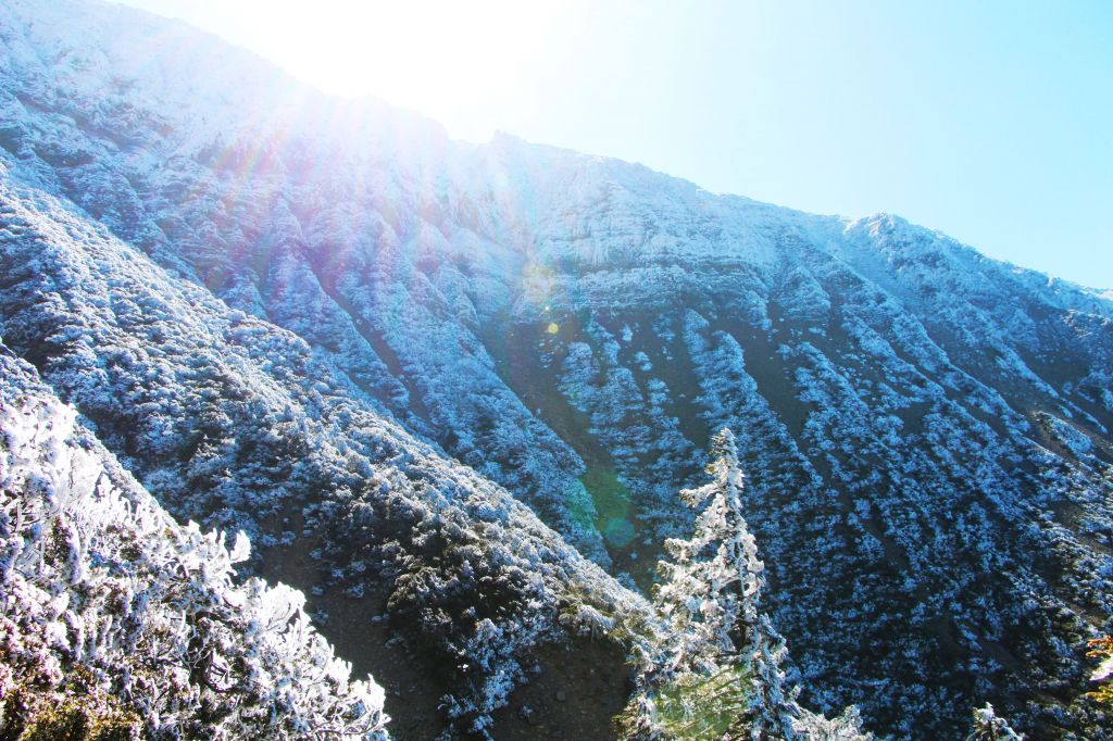 難忘 玉山行 ~ 封存美麗的印記 ... _176718