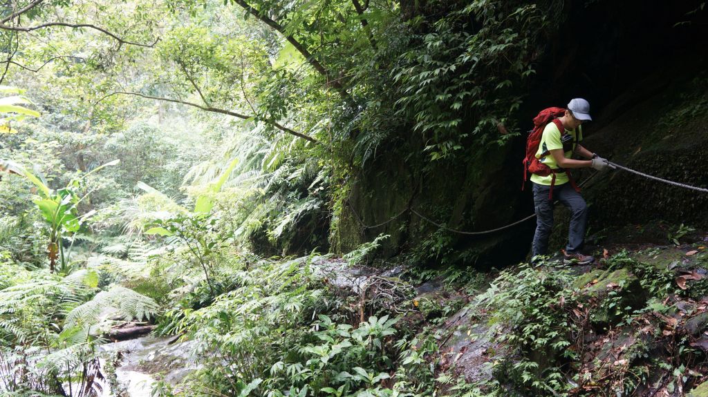 石牛山之溪_399846