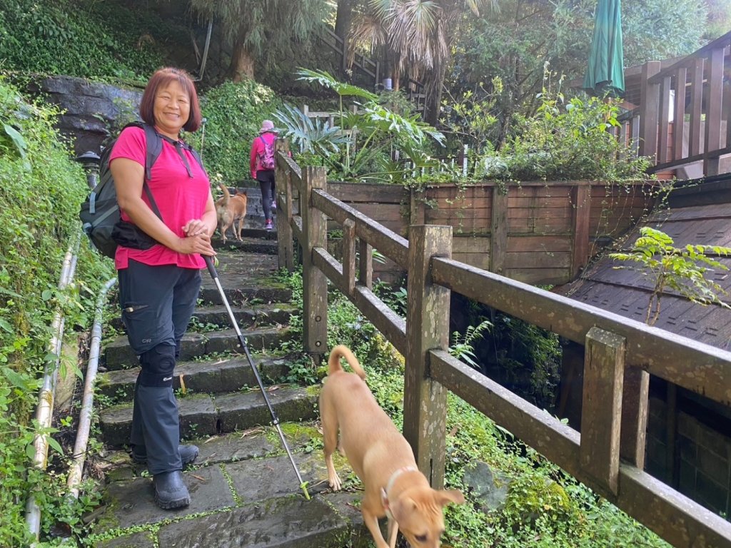 奮起湖環狀步道、麻竹湖步道_2638123