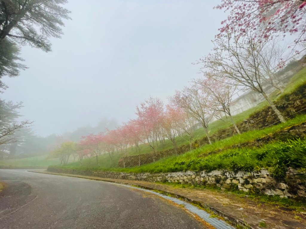 2見嘉明湖（白皙皙）_1633849