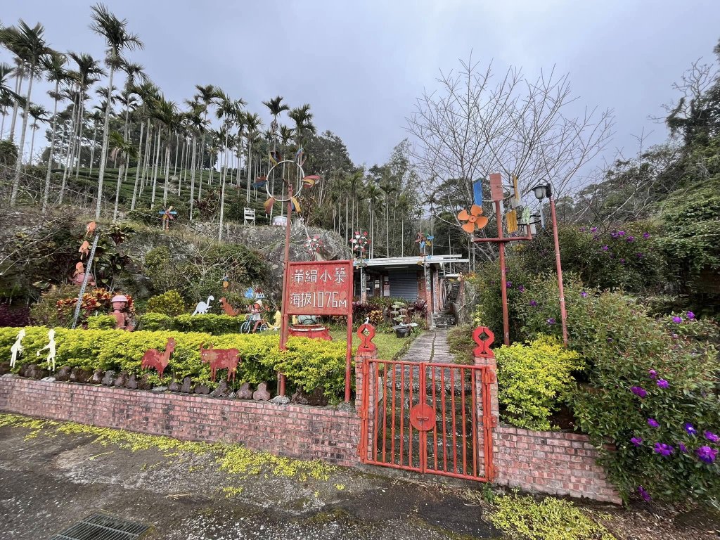 雲嘉五連峰健行_2679821