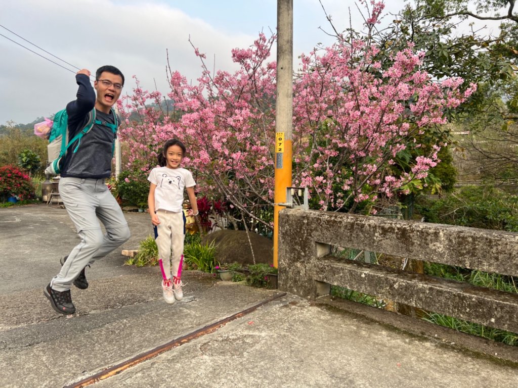 鳴鳳山古道-7喜階梯封面圖