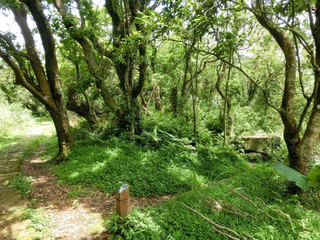 紗帽山．前山公園_93911