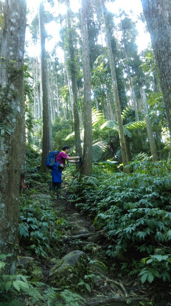 20151205南庄向天湖山,光天高山_27680