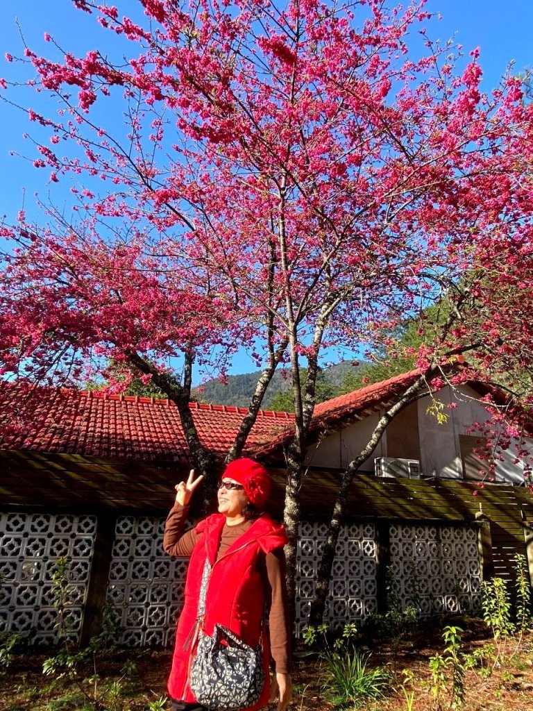 🌈2/16(日)-17(一)福壽山+武陵農場賞櫻🌈🌸FB：熊熊趴爬走 歡迎加入_2714891