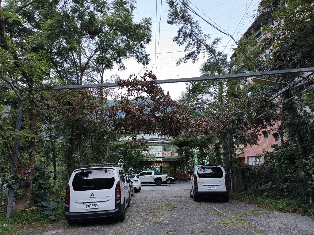 [玉山尋寶任務-07/12] 2025_0824 八通關雲龍瀑布步道_2870361