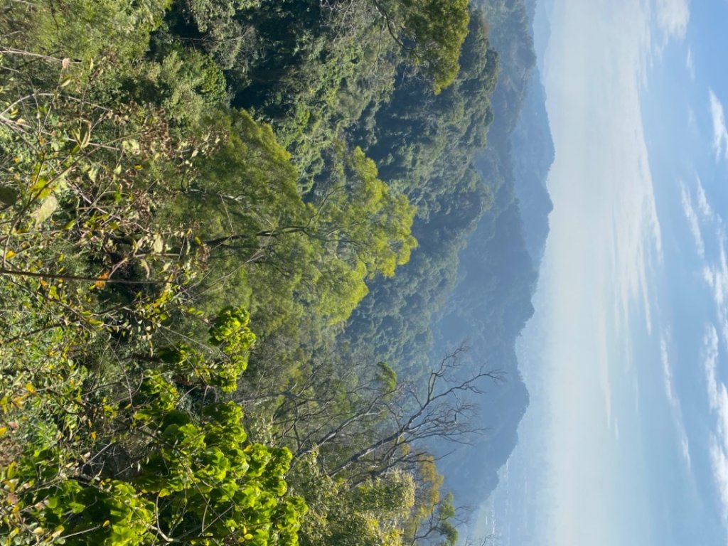 聚興山#40號小百岳_1619564
