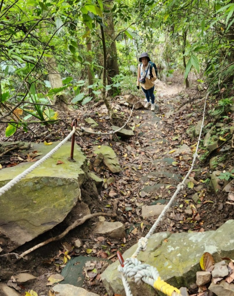 【中級山】水雲三星，鳥嘴山（上島山）_2743354