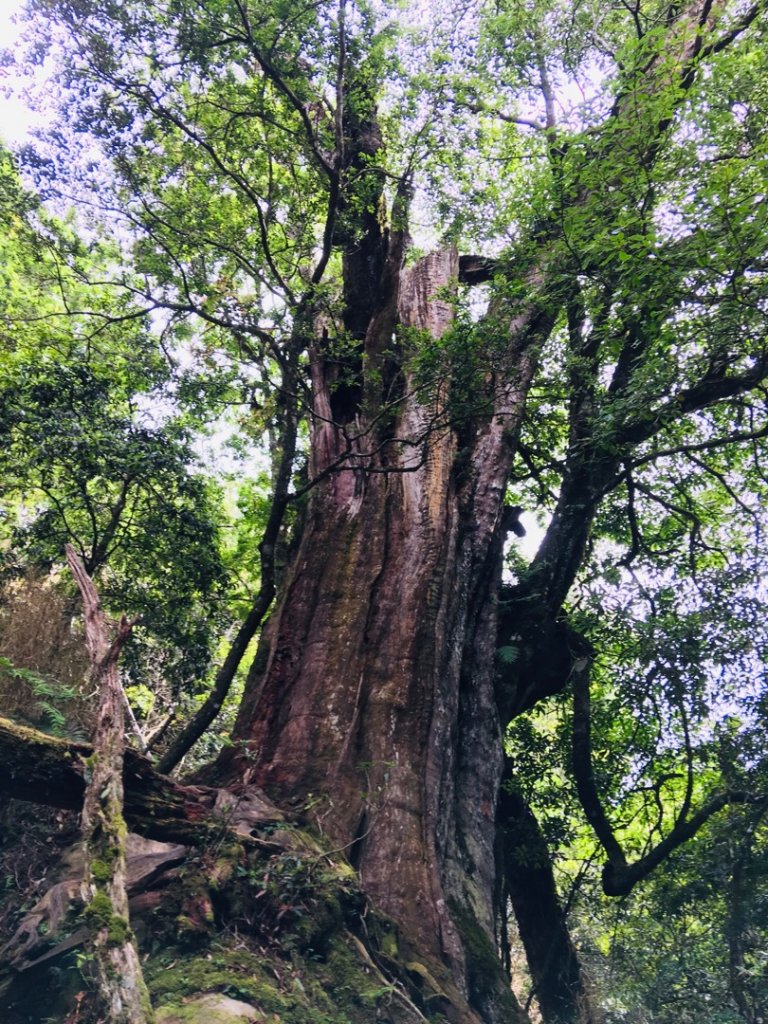 1090704加里山_1026230